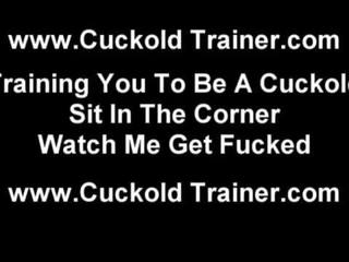 You are nothing but a cuckold abdi stripling to me